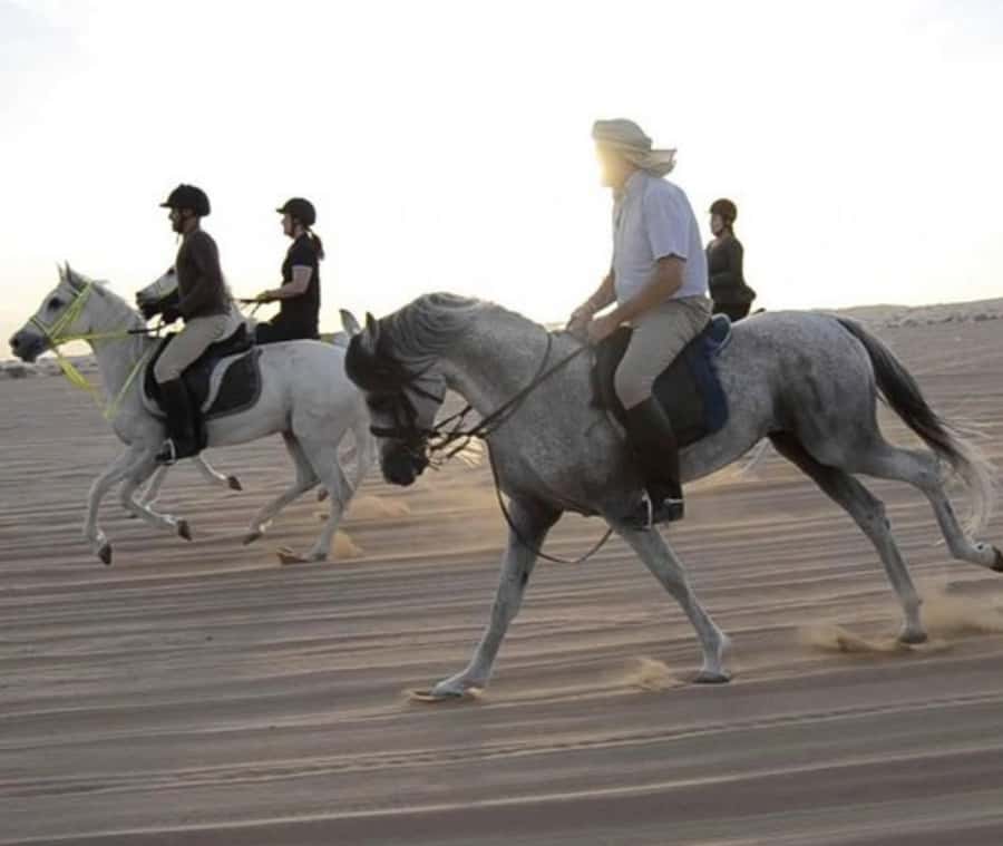 Doha: Desert Safari with Camel Ride and Quad Bike and Buggy - Sand Boarding Without a Ski Lift