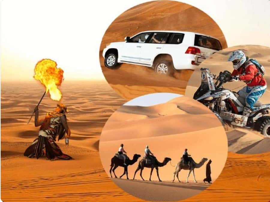 Doha:Desert Safari with Camel Ride, ATV Bike,& Sand Boarding - The camel ride gives the day a slower start