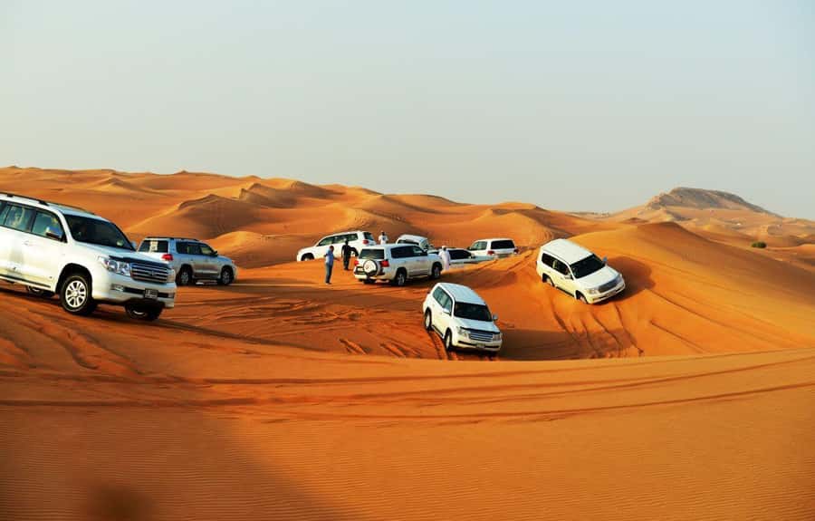 Doha: Desert Safari with Camel Ride Family Friendly Tour - Dune bashing across Qatar’s red dunes