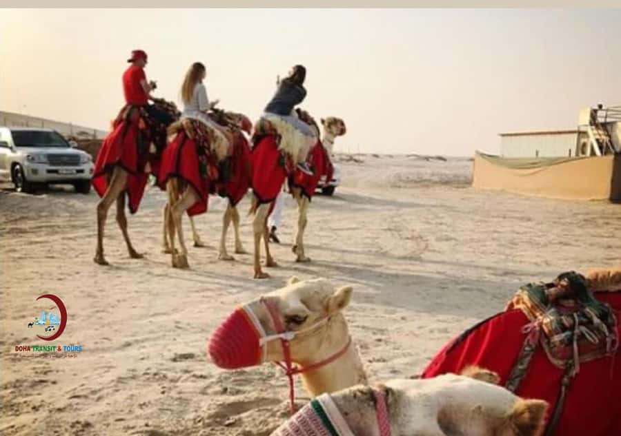 Doha: Desert Safari with Dune Bashing and Inland Sea - Who will enjoy this safari most?