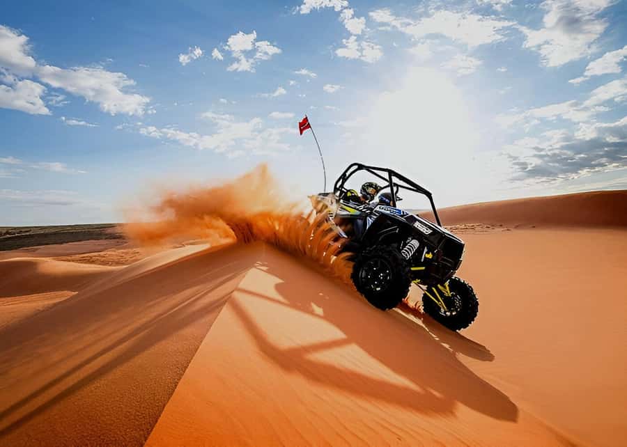 Doha: Desert Safari with Quad Bike, Sandboard & Camel Ride - Camels, falcons, and a short taste of Bedouin life