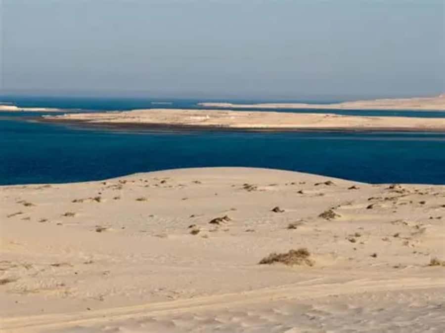 Doha: DesertSafari with Quad Bike, Camel Ride & Sandboarding - Photo stops and the best use of your phone