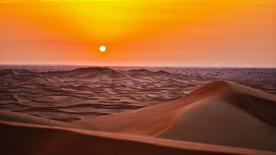 Doha: Dune Bashing Safari, Falcon, Camel, ATV, Sandboarding - Key points before you book