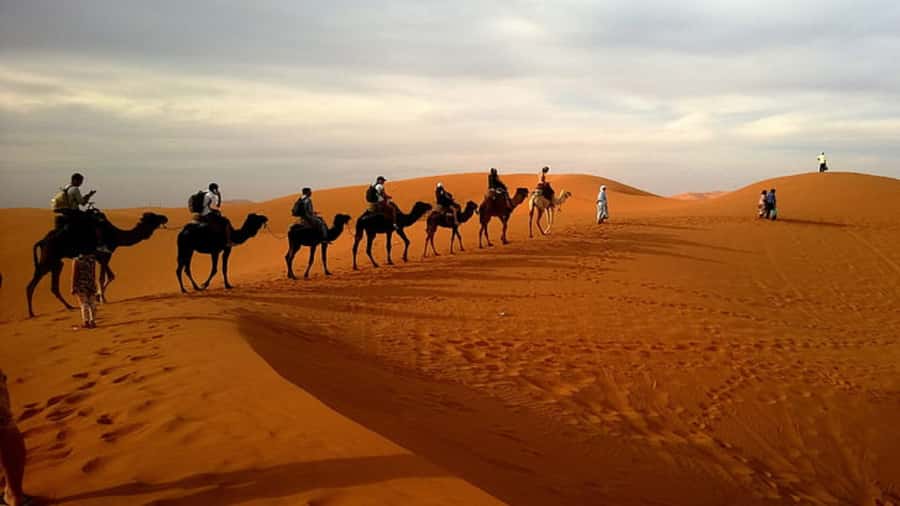 Doha: Dune Bashing Safari, Falcon, Camel, ATV, Sandboarding - Heat, clothing, and comfort