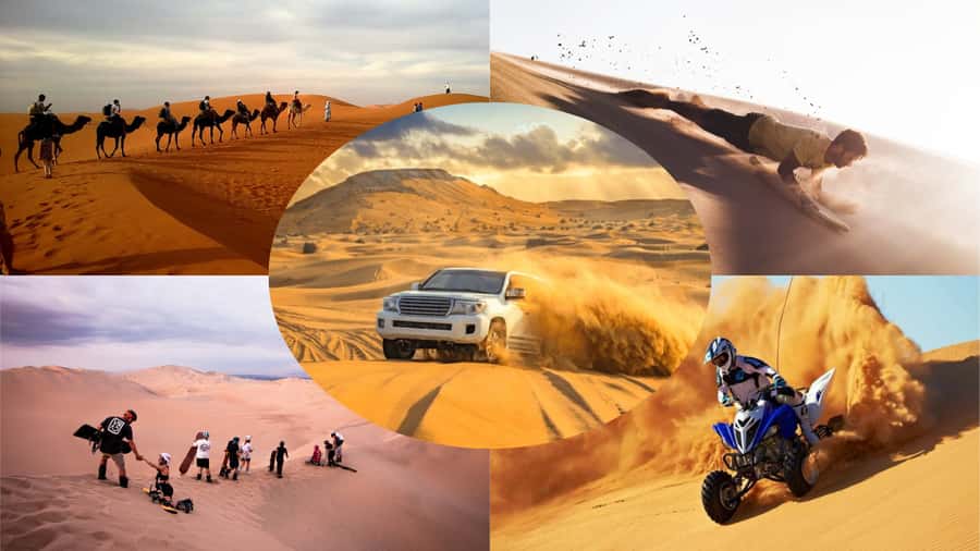 Doha: Dune Bashing Safari, Falcon, Camel, ATV, Sandboarding - Sealine: camels, falcons, and the preparation stop
