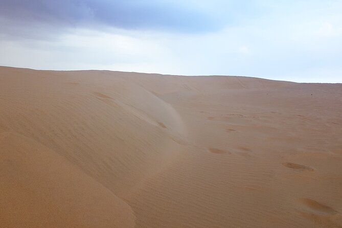 Doha: Escape to Eternity, Relaxing Desert Wonders with Camel Ride - Khor Al Udaid, where sand meets the Gulf