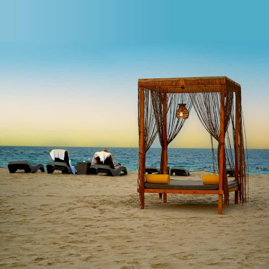 Doha: Full-Day Desert Safari, Dune Bashing & BBQ Dinner - Why this desert day is more than a dune ride