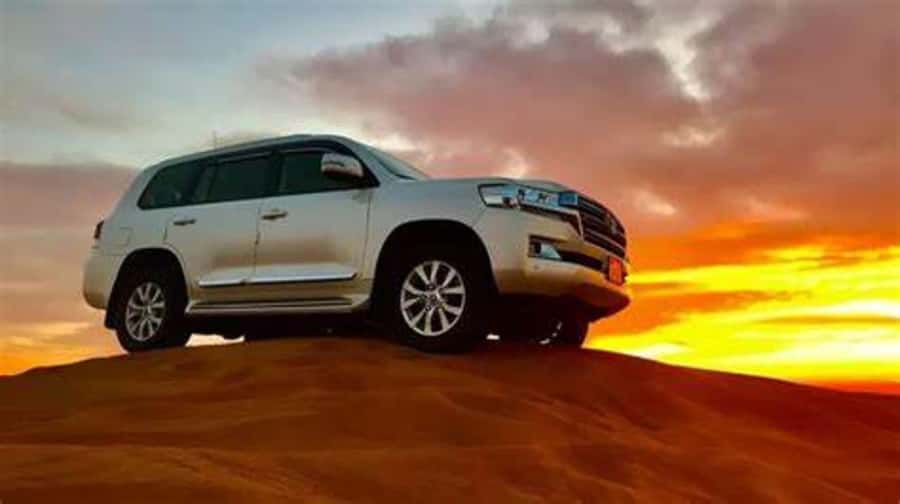 Doha: Full-Day Desert Safari, Dune Bashing & BBQ Dinner - Camel riding offers a slower first look at the sand