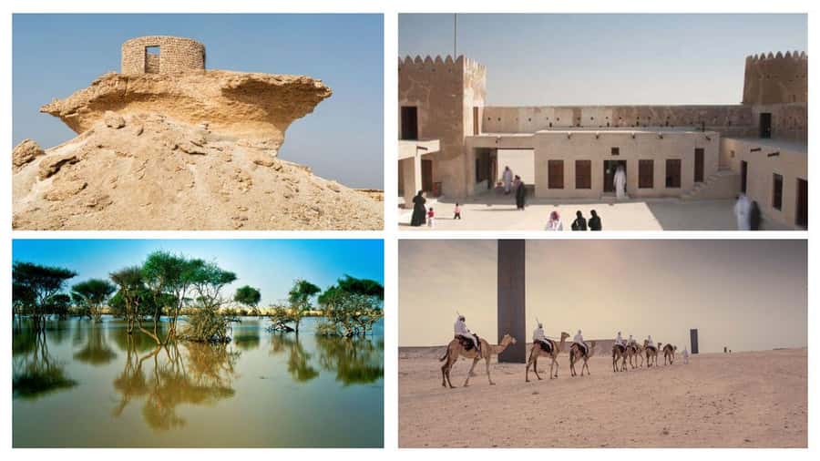 Doha Full Day Guided Tour in Qatar North and West - Al Thakhira mangroves and Purple Island