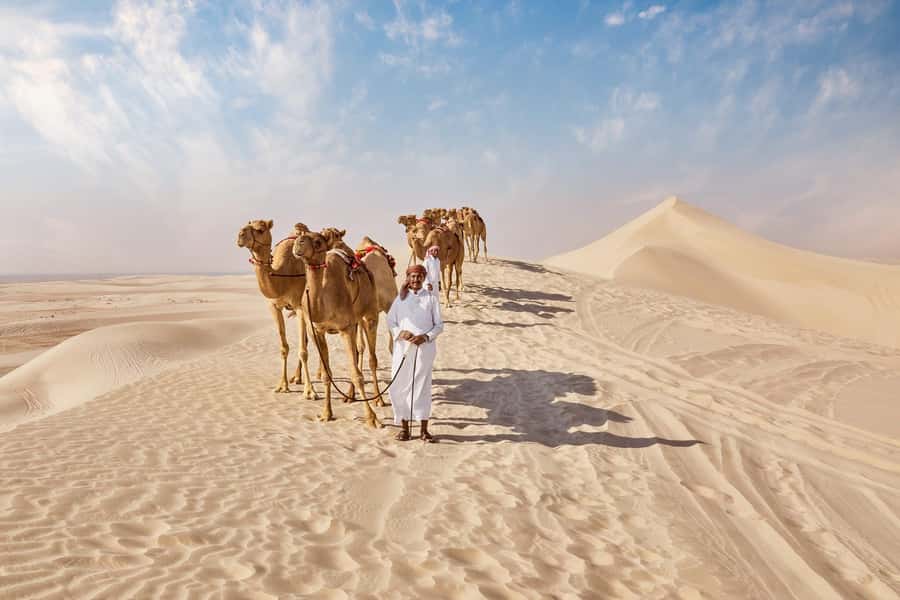 Doha Full Day Guided Tour in Qatar North and West - Al Khor harbor and Qatar’s coastal past