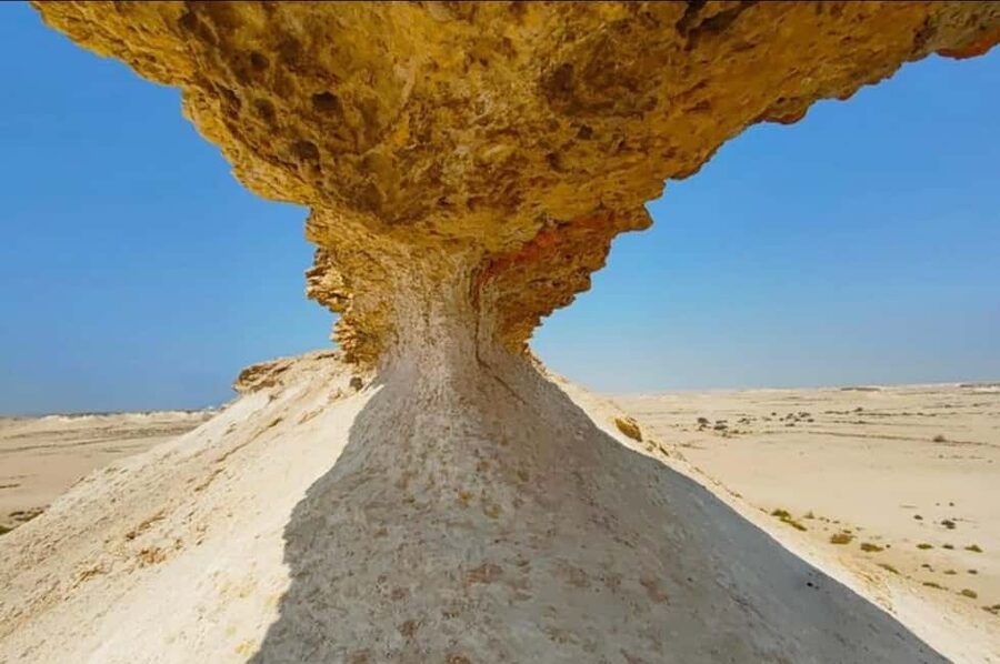 Doha: Full-Day North and West Tour with Forts and Qatari - Why this north and west route is worth your time