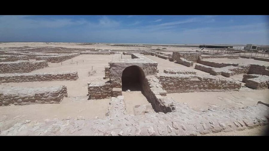 Doha: Full-Day North and West Tour with Forts and Qatari - The long run south toward Al Shahaniya