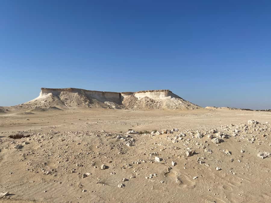 Doha Full Day North & West Tour | Rich History & culture - What the seven-hour schedule feels like