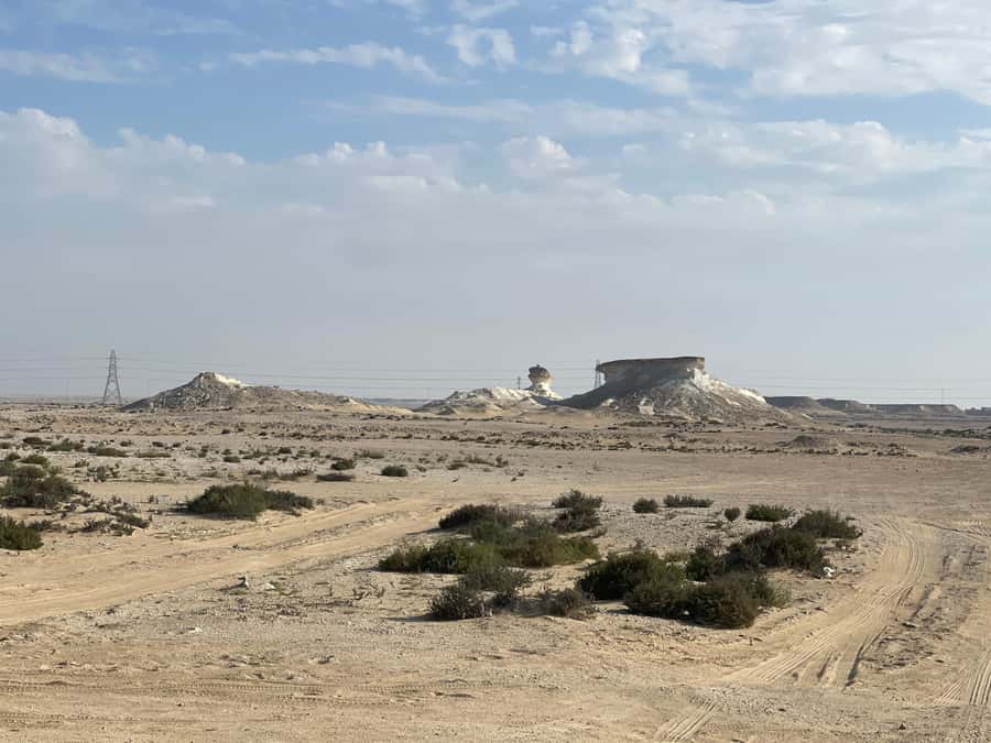 Doha Full Day North & West Tour | Rich History & culture - Why this tour gets you beyond Doha