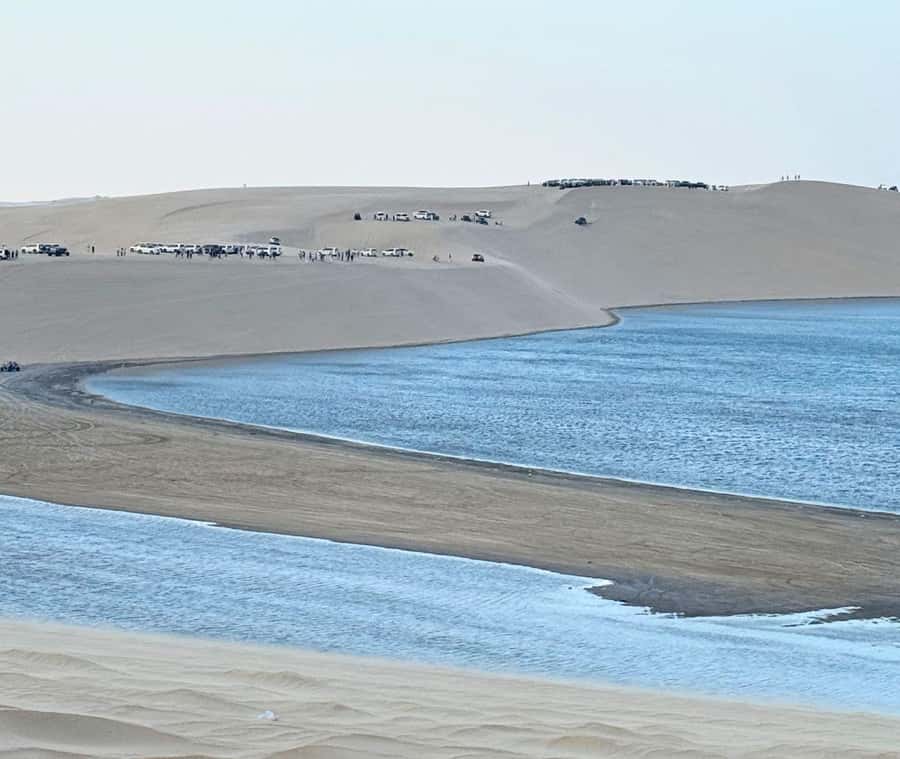 Doha: Guided Desert Safari Tour with Pickup & Drop Service - Key points at a glance