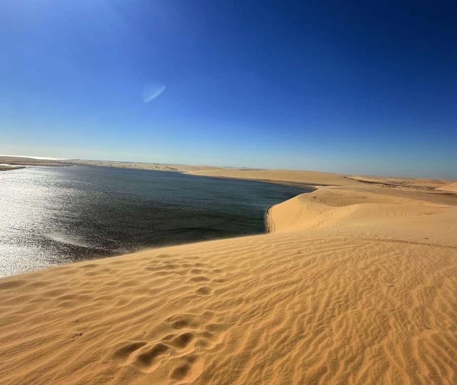 Doha: Guided Desert Safari Tour with Pickup & Drop Service - Final verdict: a strong budget desert introduction
