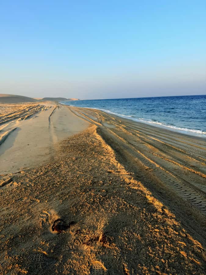 Doha: Guided Desert Safari Tour with Pickup & Drop Service - Mesaieed’s dunes and the real thrill of dune bashing