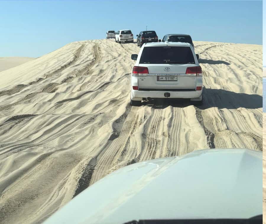 Doha: Guided Desert Safari Tour with Pickup & Drop Service - Guides, languages, and how the trip feels