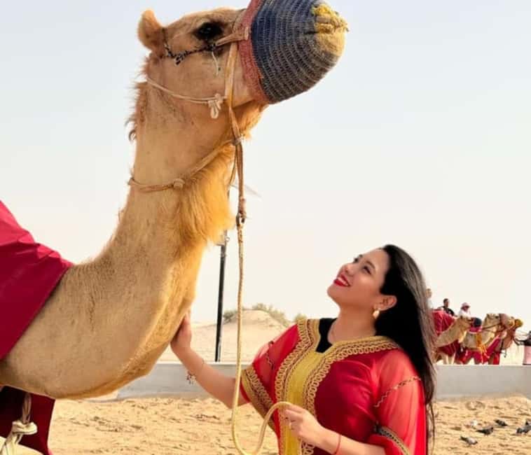 Doha: Half Day Desert Safari, Camel Ride , Sandboarding - Who will enjoy this half-day safari