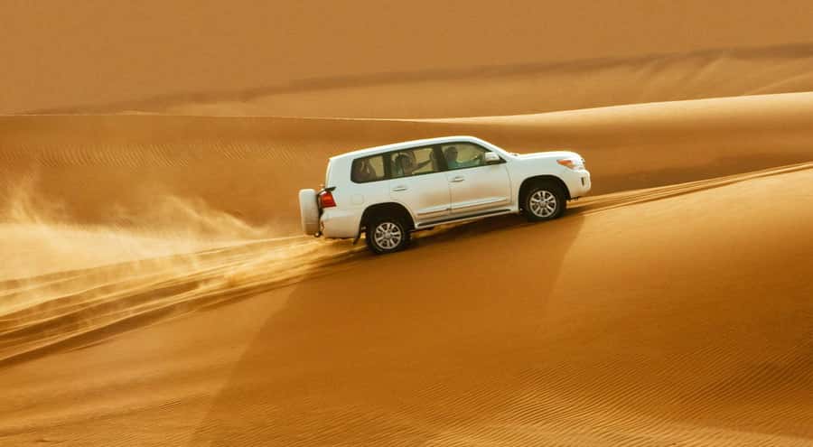 Doha: Half Day Desert Safari, Dune Bashing, Camel Ride - Guides, driving style, and personal attention