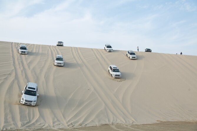 Doha: Half Day Desert Safari with Camel Ride and Inland Sea Tour - Sealine Beach brings the speed