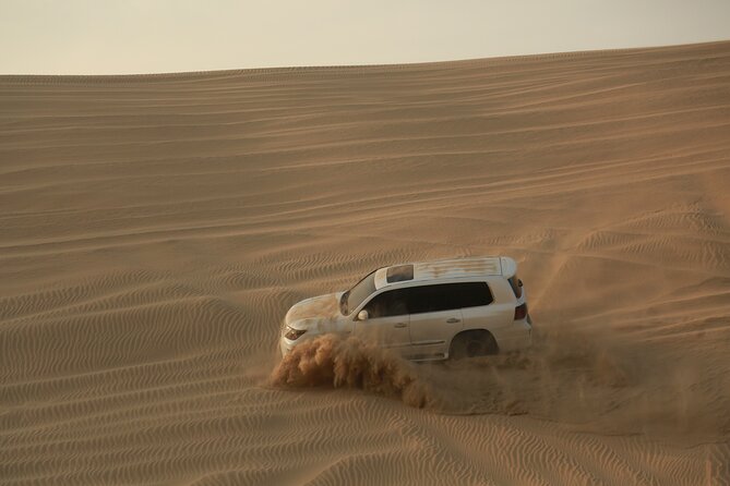 Doha: Half Day Desert Safari with Camel Ride and Inland Sea Tour - Is $92 good value?