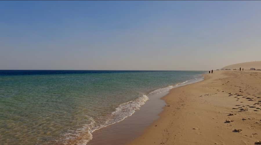 Doha: Half Day Desert Safari With Camel Ride & Sand Boarding - How the $31 price works for you