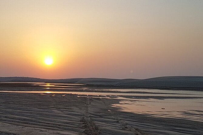 Doha : Half Day Desert Safari With SandBoarding and Camel Ride - Who will enjoy this half-day safari?