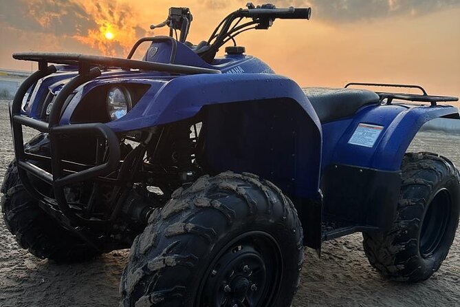 Doha-Half Day Safari with Quad Bike ATV/Camel Ride/sandboard - Camel riding at Sealine Beach