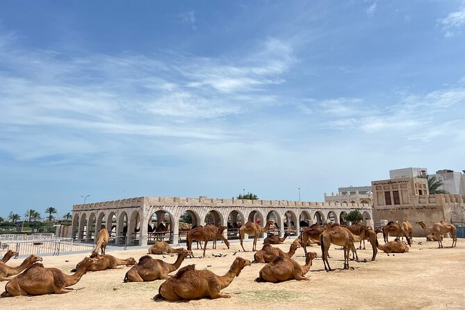 Doha Highlights Guided Tour With Dhow Cruise - Lusail Marina and the iconic tower photo stop