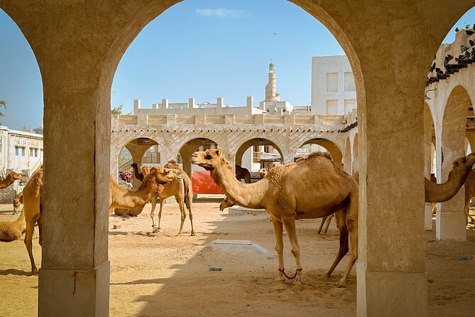 Doha Highlights Private City Tour with Licensed Tour Guide - National Museum of Qatar: the tour’s most important indoor visit