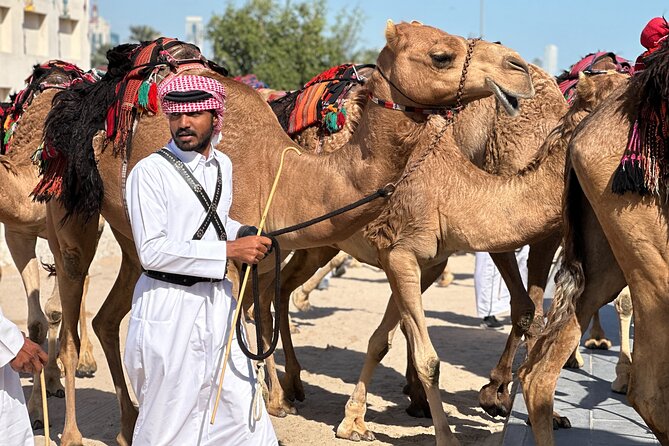 Doha Highlights Private City Tour with Licensed Tour Guide - Who will get the most from this tour?