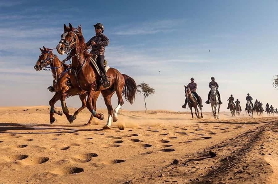 Doha : Horse Riding Tour With Transfer - Key points to know before you book