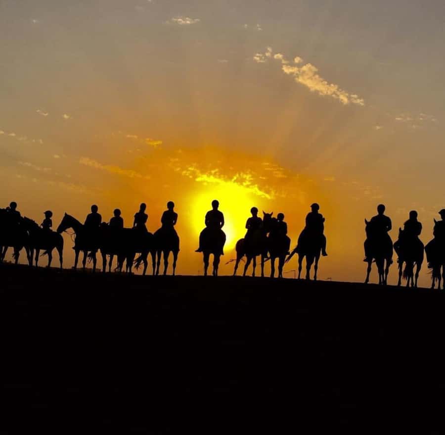 Doha : Horse Riding Tour With Transfer - Riding through the dunes