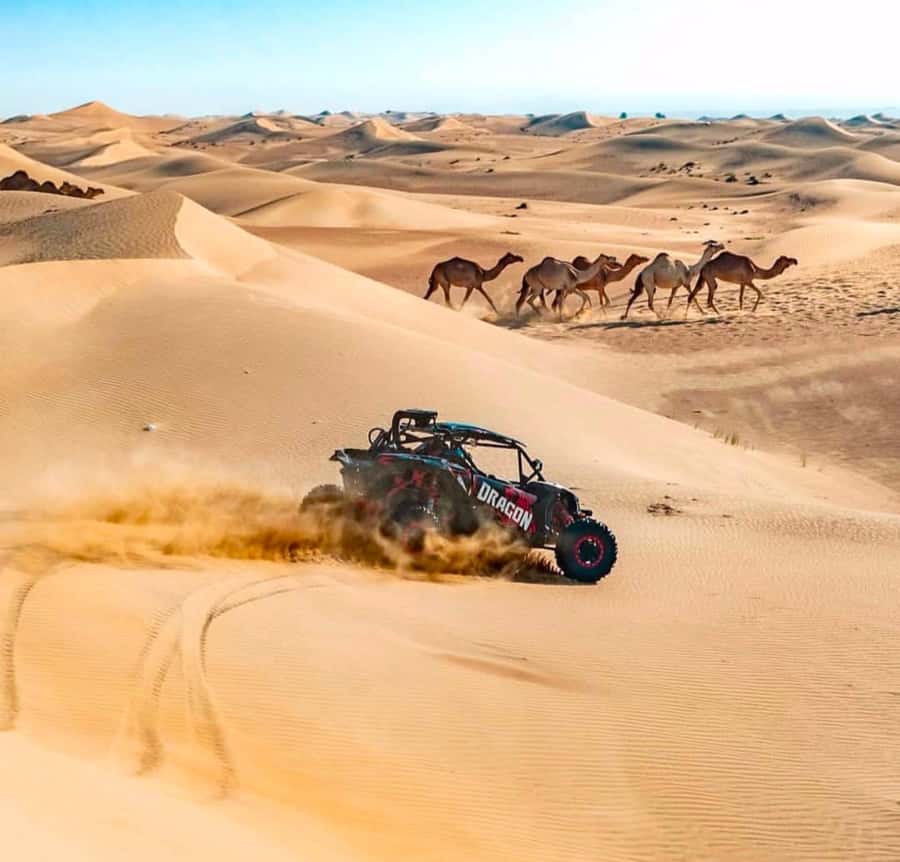 Doha: Inland Sea, Desert Safari, Camel Ride and Sandboarding - Who should book this safari?