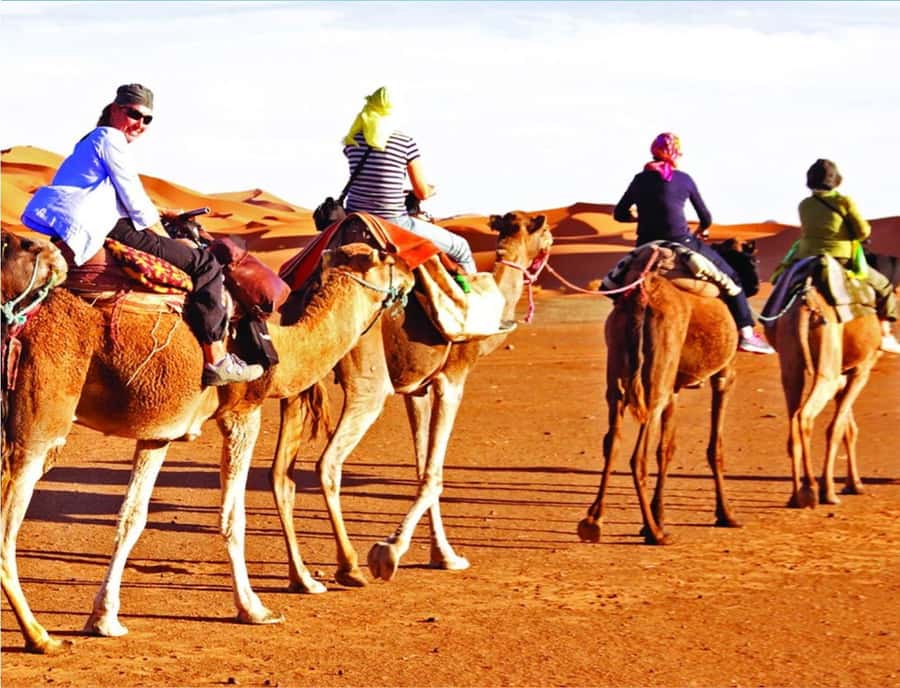 Doha: InlandSea Tour,Camel,Sand Boarding With All Activities - Is $13 good value?