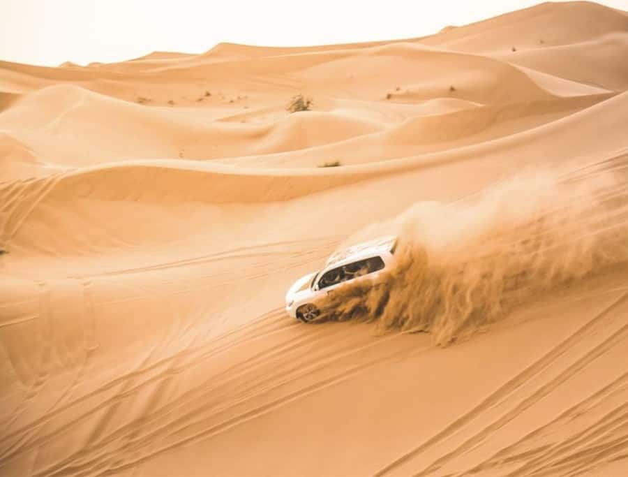 Doha: InlandSea Tour,Camel,Sand Boarding With All Activities - Who will enjoy this desert outing most