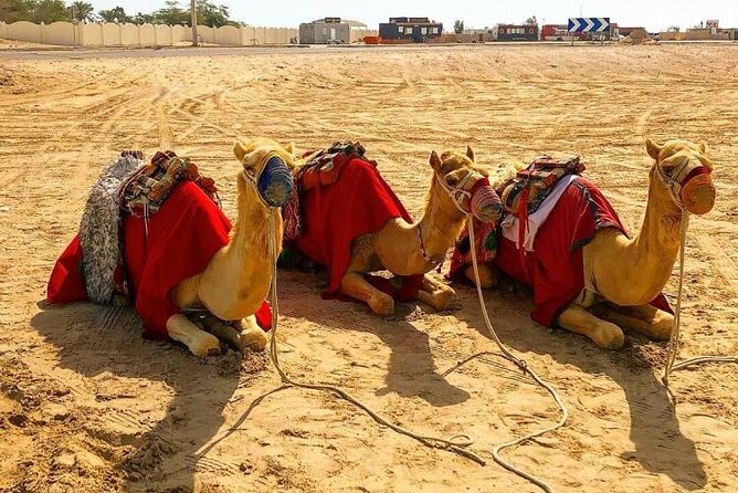 Doha Layover Desert Safari, Camel Ride, Sand Boarding, Inland Sea - Reaching Khor Al Udaid by air-conditioned vehicle