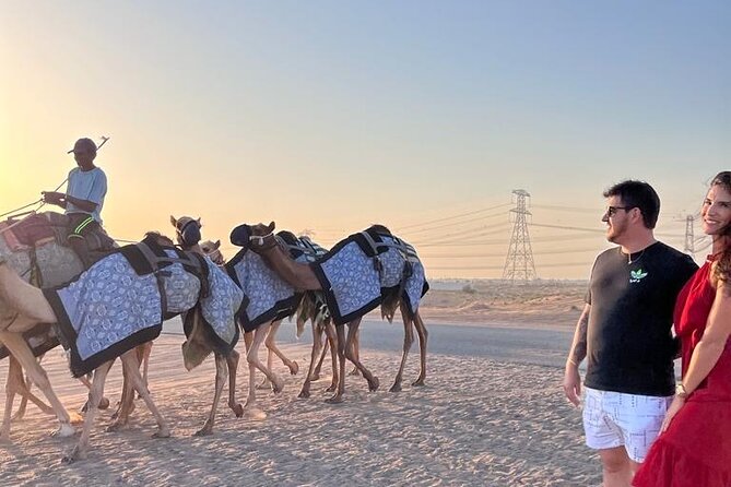 Doha Layover or Doha Stopover Tour with Desert & City Tour - Key points at a glance