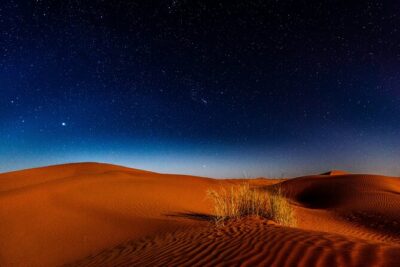 Doha Night Desert Safari Adventure