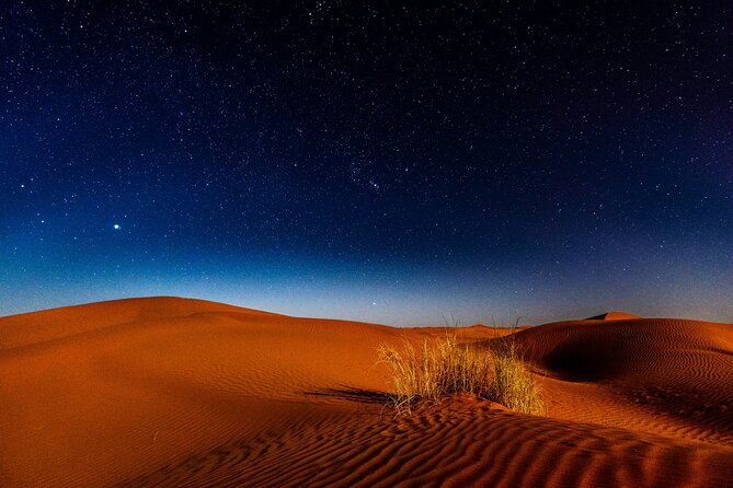Doha Night Desert Safari Adventure - Sealine: camels, falcons, and tire pressure