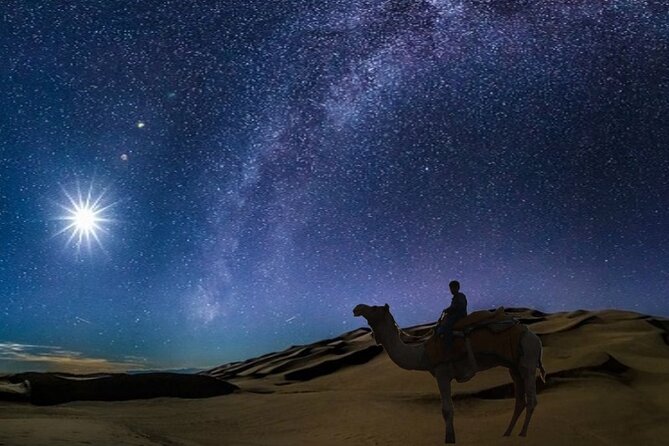 Doha Night Desert Safari Camel Ride Dune Bashing with Transfer - A night ride from Doha to Qatar’s southern desert