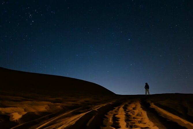 Doha Night Desert Safari Camel Ride Dune Bashing with Transfer - Private or shared, and how the choice changes the evening