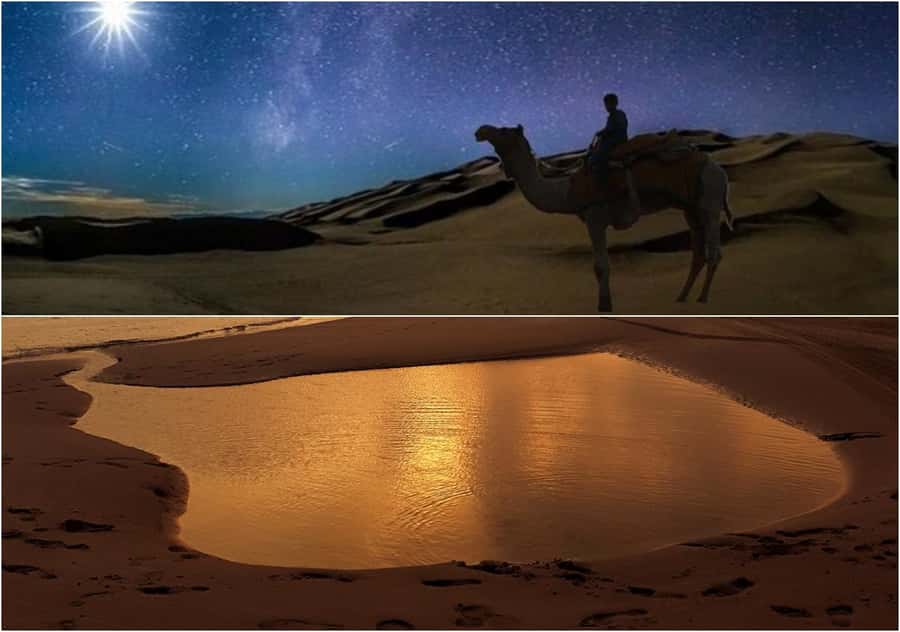 Doha Night Desert Safari Stargazing And Camel Ride - Stargazing: beautiful idea, variable results