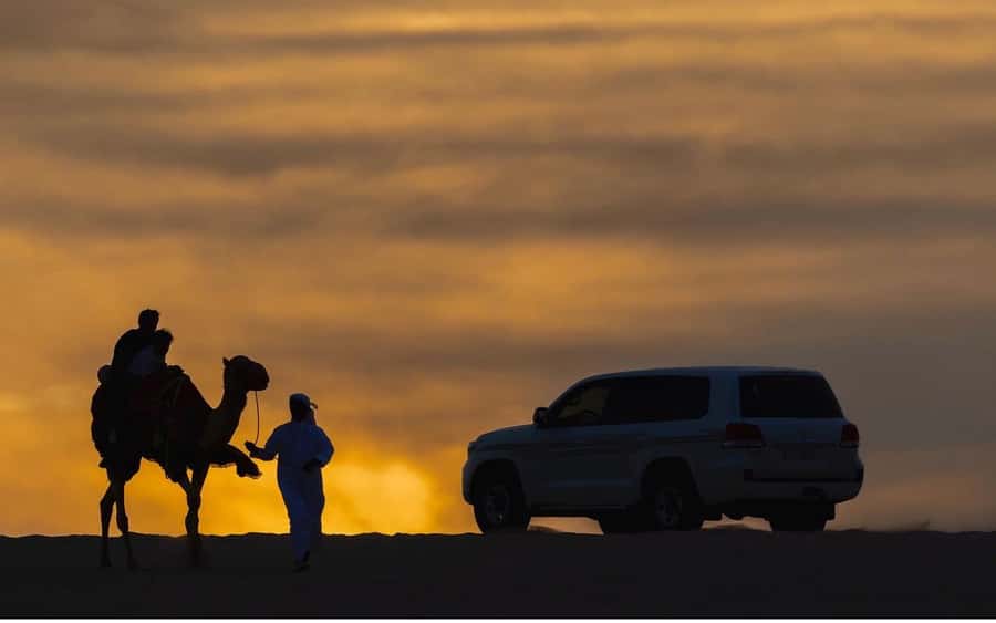 Doha Night Desert Safari Stargazing And Camel Ride - What the guide can add
