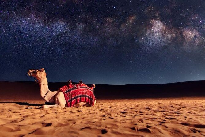 Doha Night Desert Safari Stargazing Camel Ride and Dune Bashing - Dune bashing at Ash Shaqra’
