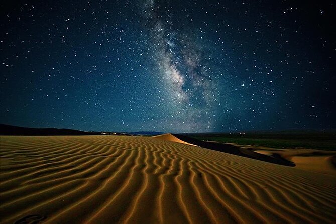 Doha Night Desert Safari Stargazing Camel Ride and Dune Bashing - Tea, camels, and a short taste of desert tradition