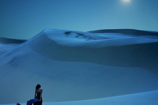Doha Night Desert Safari Stargazing Dune Drive Camel Ride - Dune bashing across Qatar’s open sand