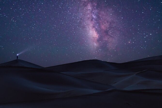 Doha Night Desert Safari Stargazing Dune Drive Camel Ride - Camel riding before the faster action