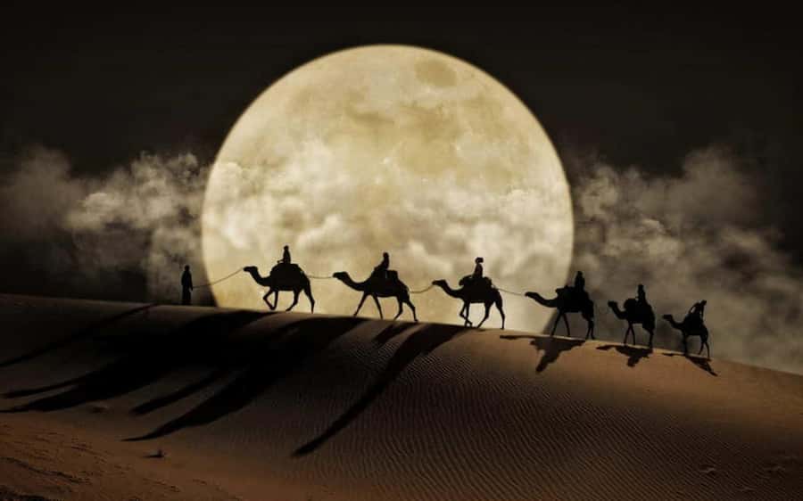 Doha: Night Desert Safari, Stargazing, Dune Driving &Inland - Key points to know before booking